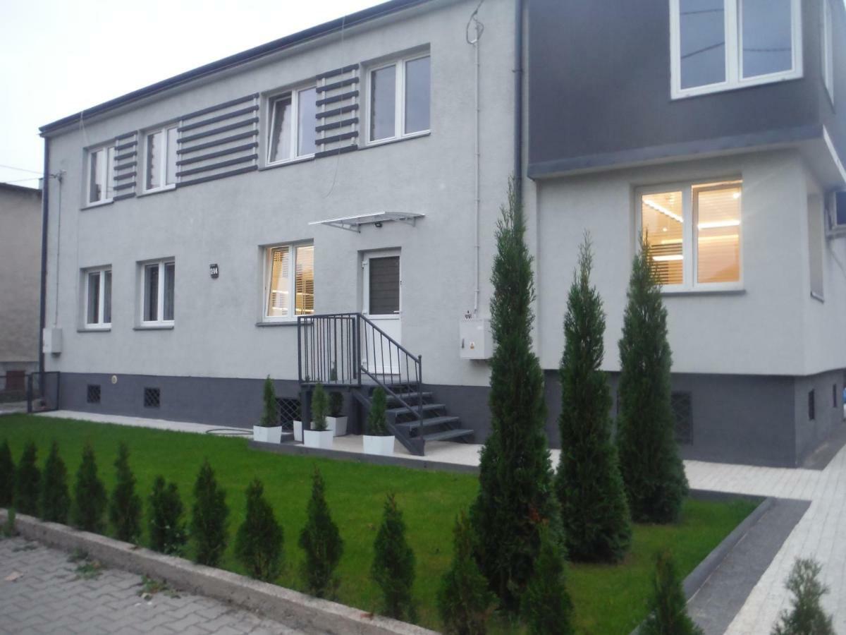 Shark Apartament