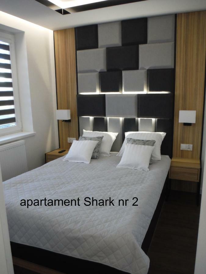 Shark Apartment
