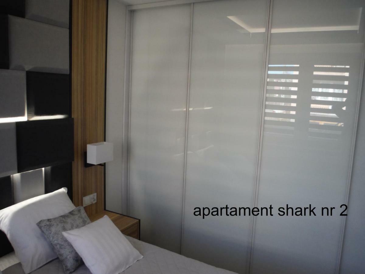 Shark *