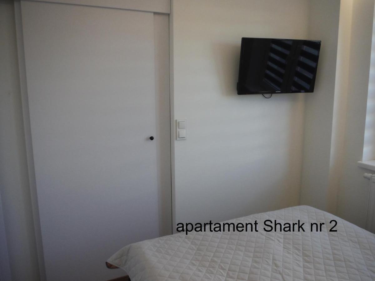 Shark *